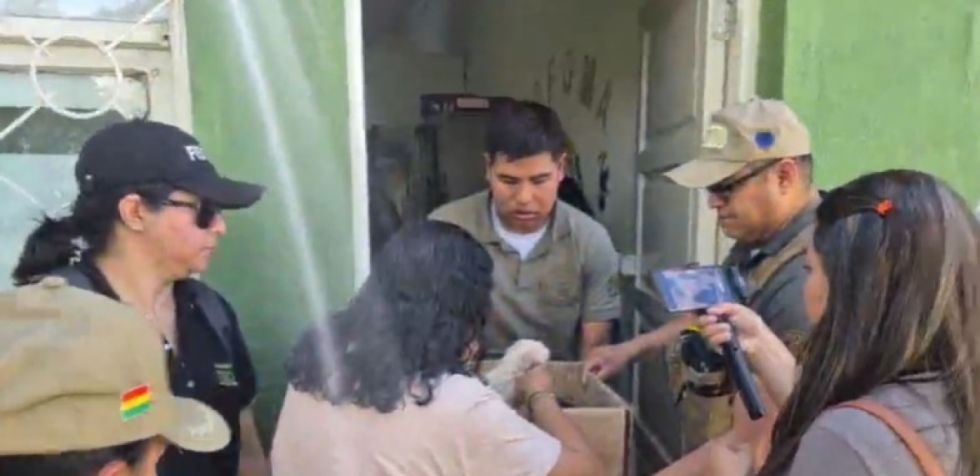 Vendía cachorros a Bs 800 y Bs 200: intervienen a mujer en el Mercado Campesino