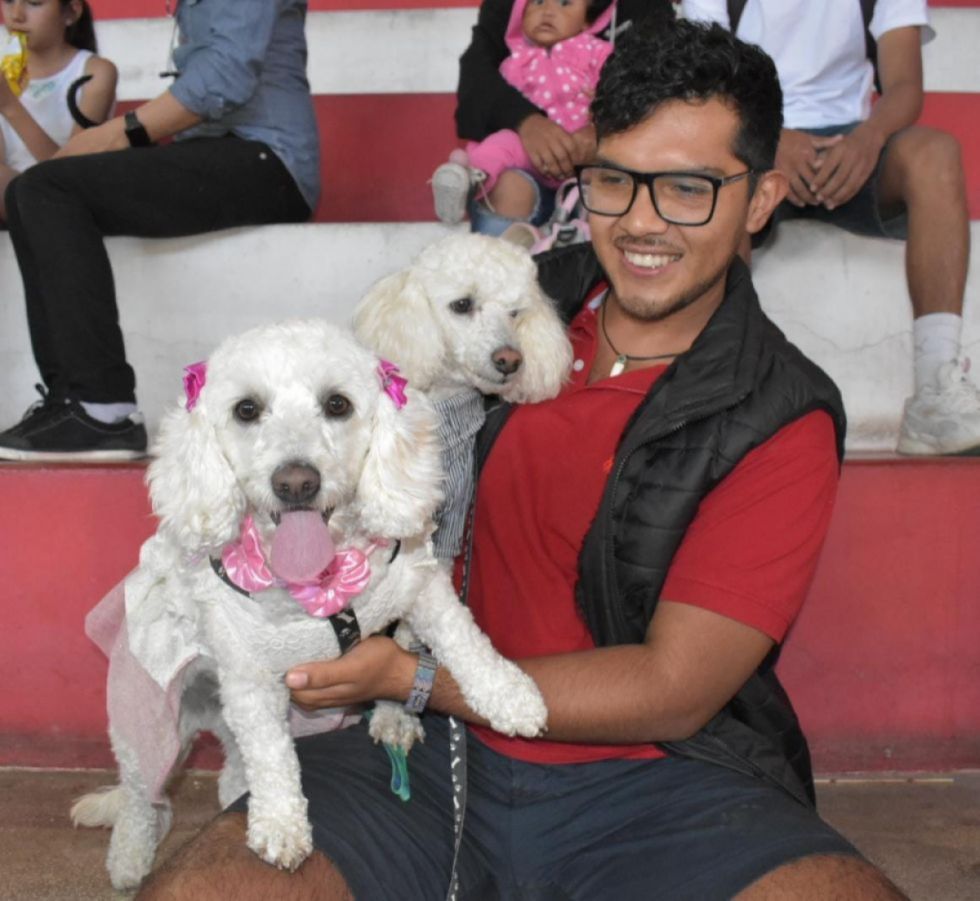 San Roque: el día en que Tarija celebra a sus fieles compañeros de cuatro patas