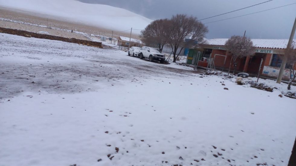 Nevada afecta al ganado y cultivos en la zona alta