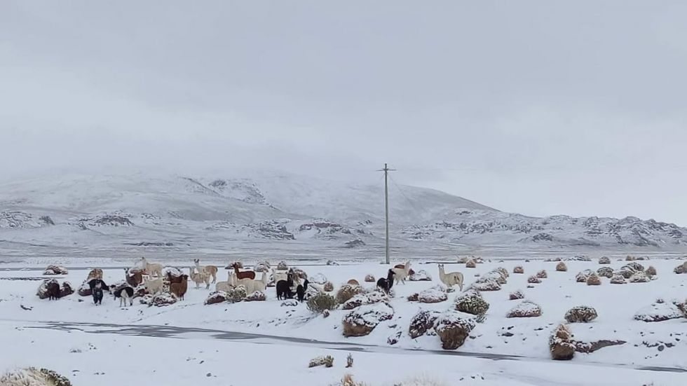 Defensa Civil: Nevadas en tres departamentos dejaron 26.000 familias afectadas 