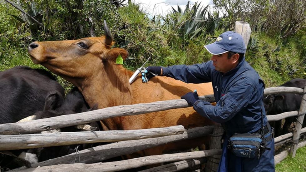 Tarija refuerza el control contra la brucelosis y la rabia bovina con más de 40 nuevos fiscalizadores