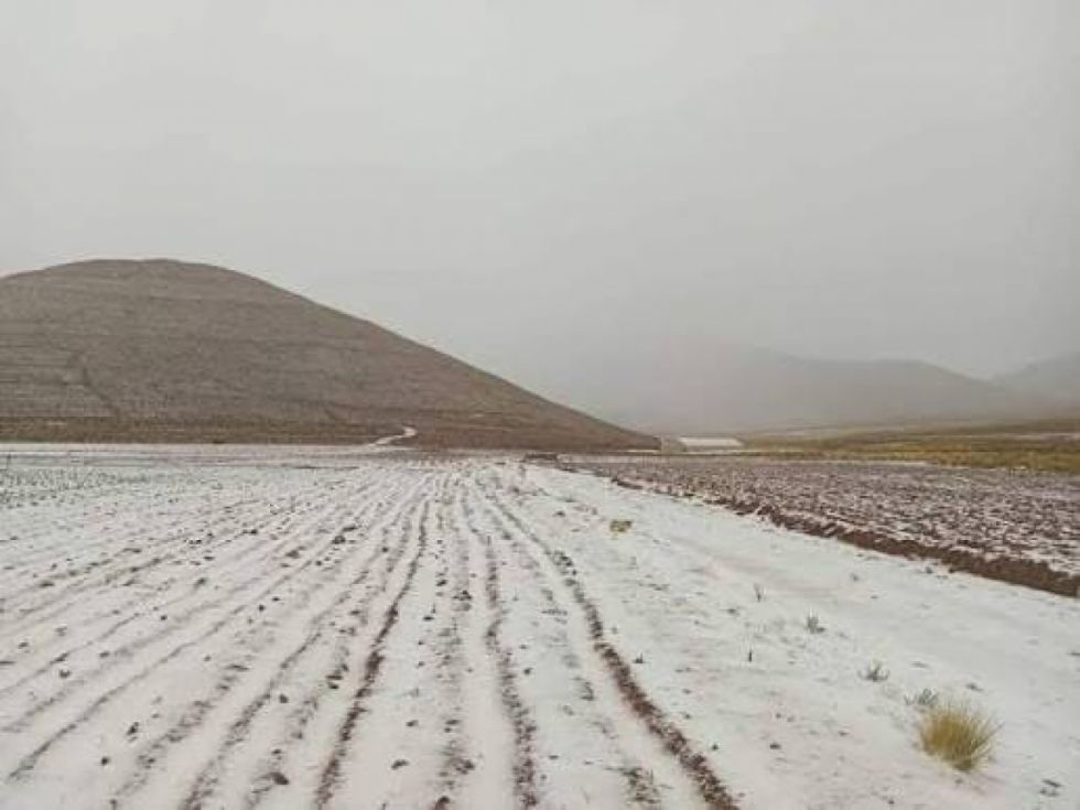 Nevadas afectaron a 800 familias en Yunchará
