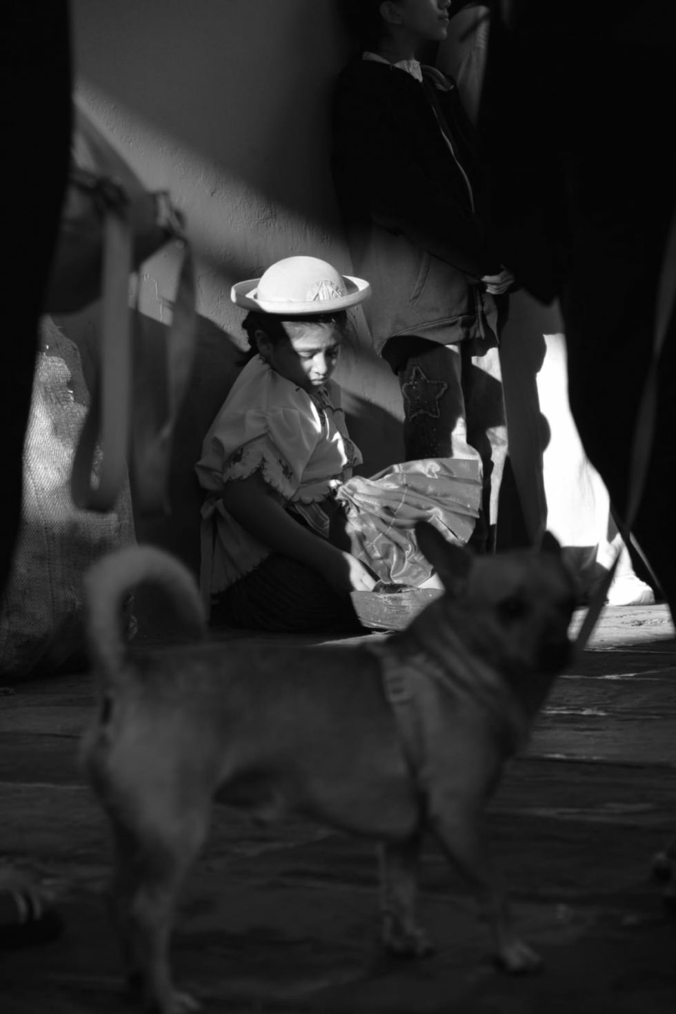 Reminiscencias de la Fiesta Grande, una exposición fotográfica de David Sustach García
