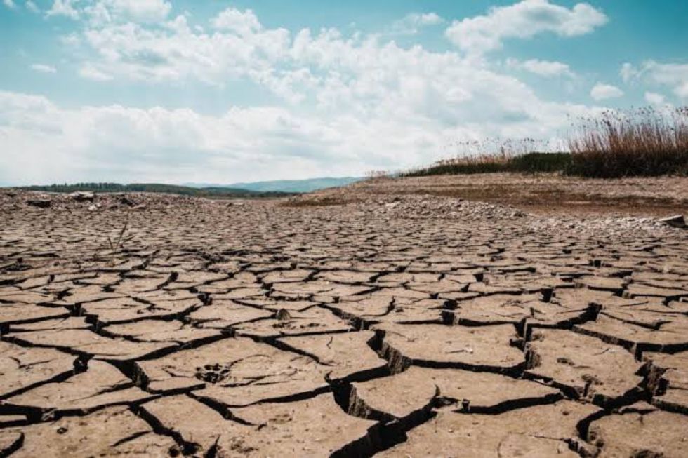 Fenómeno El Niño en Bolivia podría llevar al PIB a -5% 
