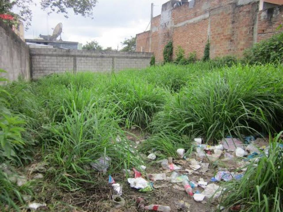 Cercado notifica a dueños de lotes baldíos abandonados por focos de insalubridad
