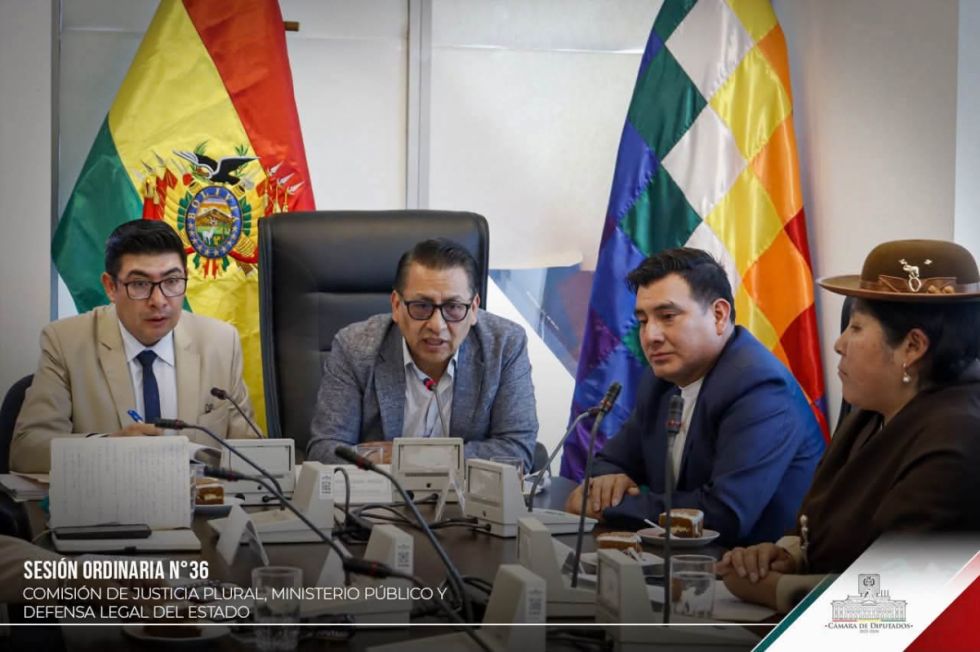 Comisión aprueba resolución para ampliar el estado de excepción, pasará al pleno de la APL