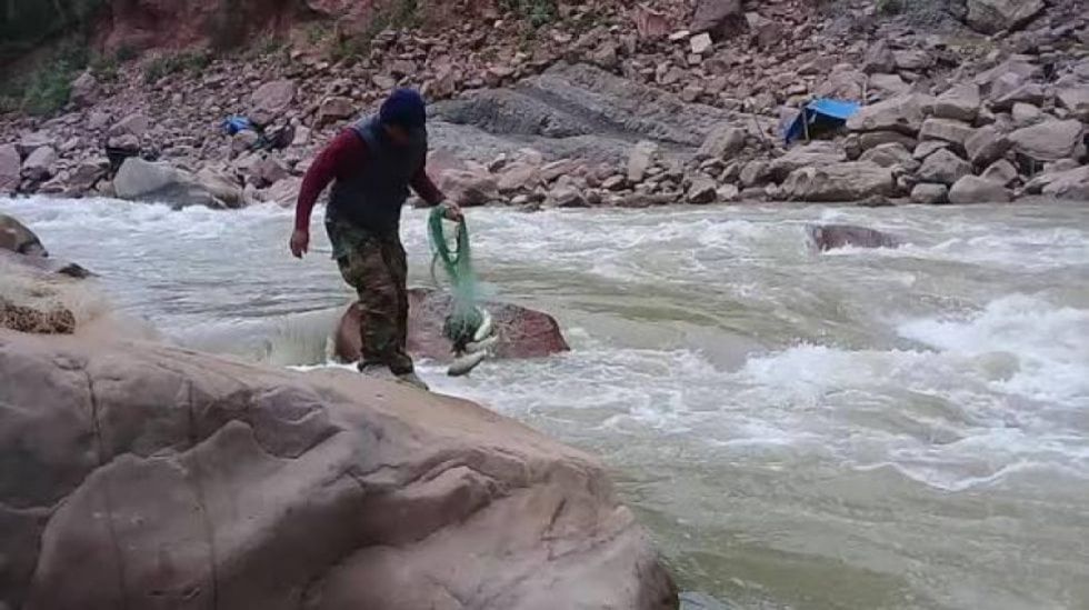 La veda del sábalo obliga a pueblos indígenas a buscar otros ingresos