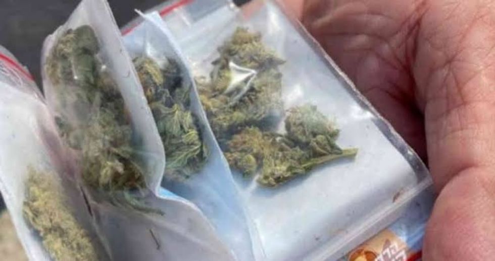 Villa Montes: Encuentran marihuana en encomienda