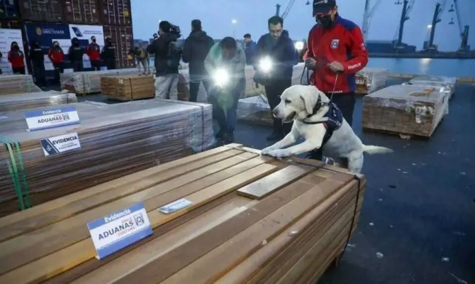 Chile suspende la destrucción de la “narcomadera”