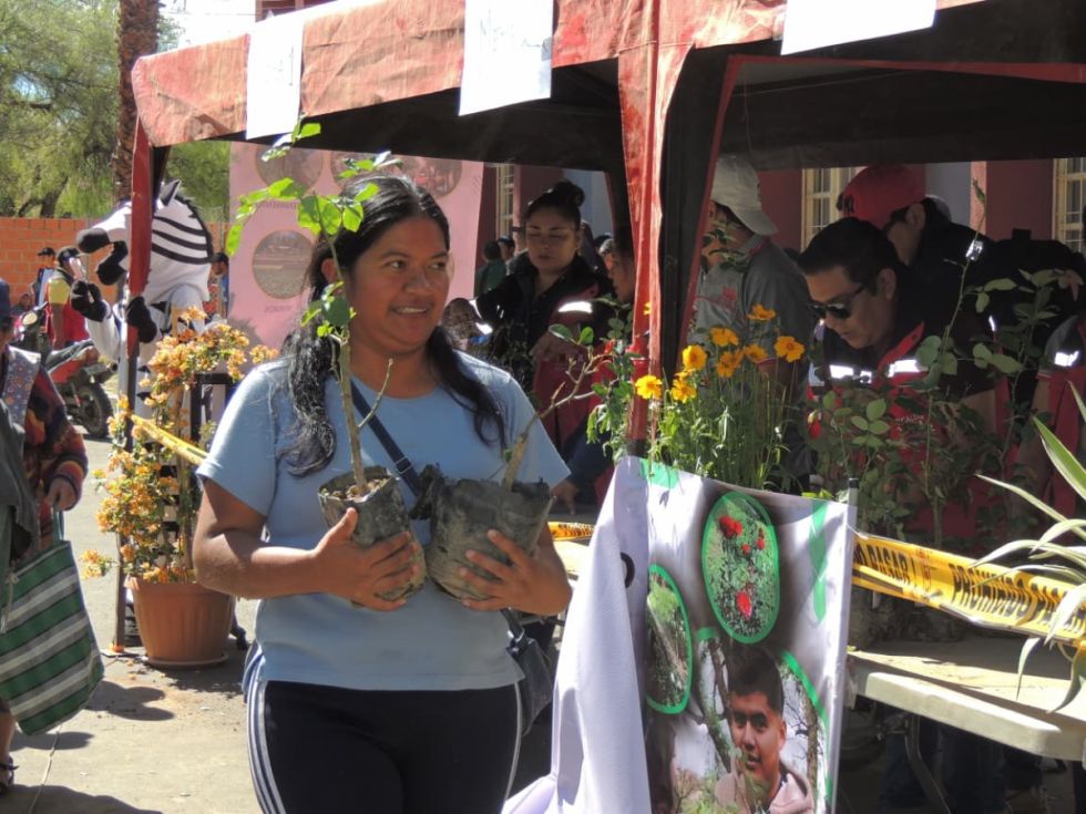 La Alcaldía ofreció 10.000 rosales a cambio de plástico