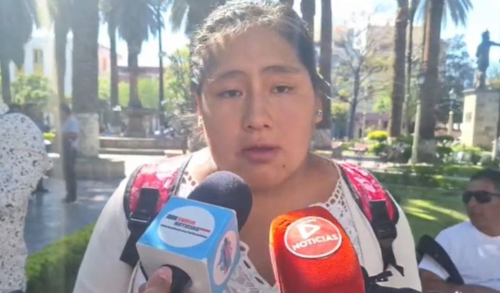 Ariel tiene 3 años, parálisis cerebral y convulsiones; su madre pide ayuda con pañales y leche
