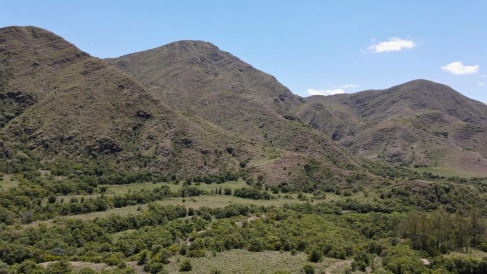 Tres razones por las que visitar Pinos Sud vale la pena