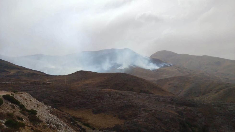 Piden alimento para ganado que sobrevivió al incendio
