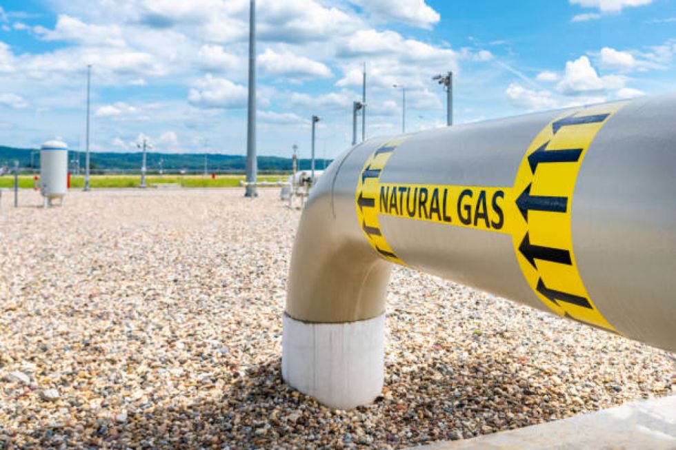 Empresarios buscan alternativas de generación energética