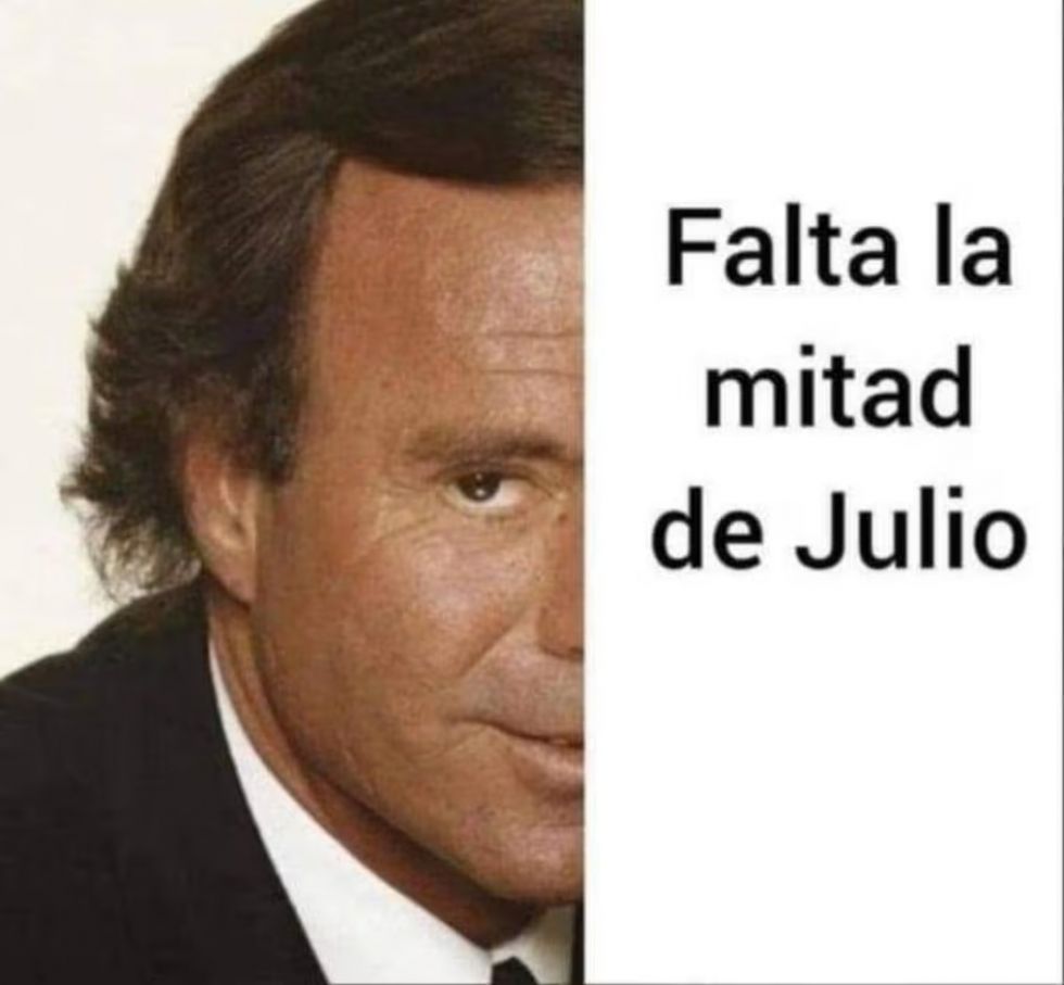 Julio Iglesias, Pura Cepa, El País