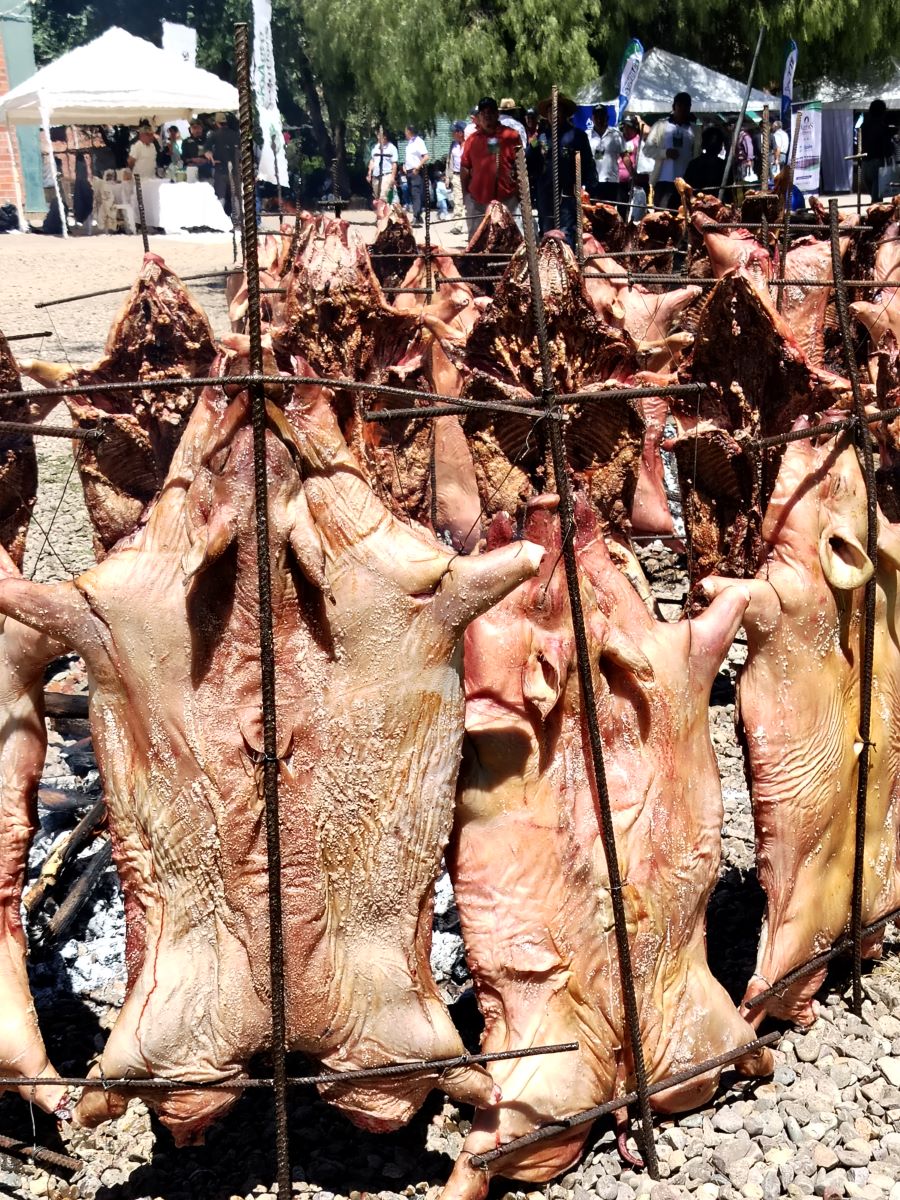 Encuentro Pro Uva, Tarija, El País