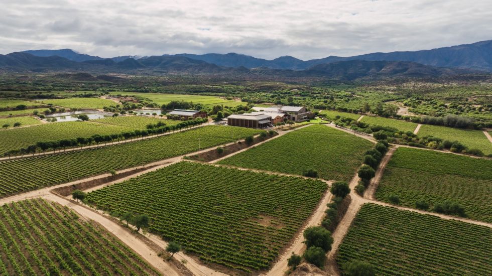 Encuentro Pro Uva, Tarija, El País