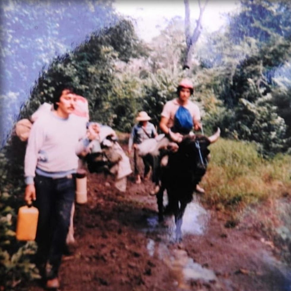 Pura Cepa, Rodolfo Meyer, Bolivianita