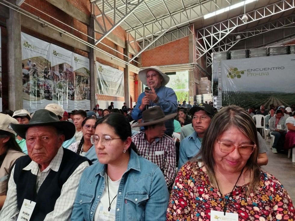 Encuentro Pro Uva, Tarija, El País