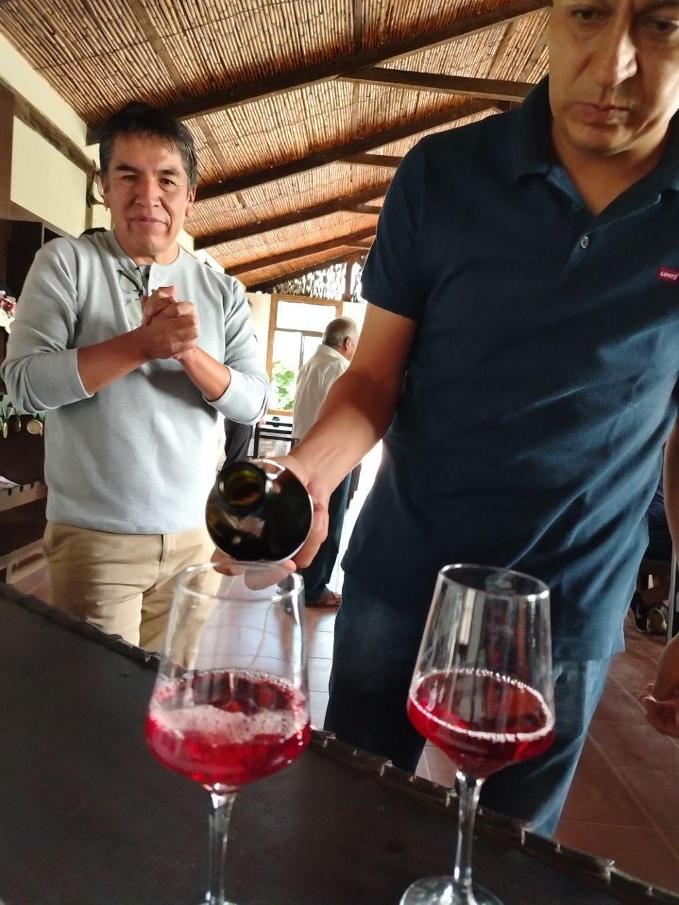 El País Tarija Bolivia elpaisbo elpais.bo Vino vinos de altura Vischoqueña