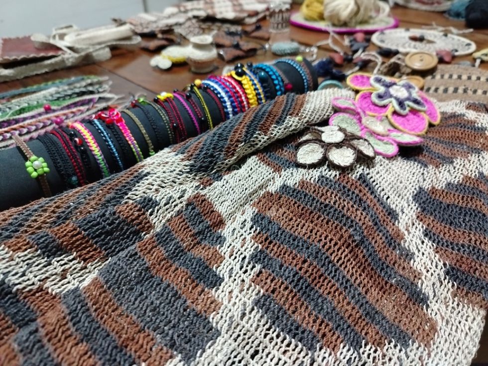 Pura Cepa, El País, Tarija, Economía, Resiliencia
