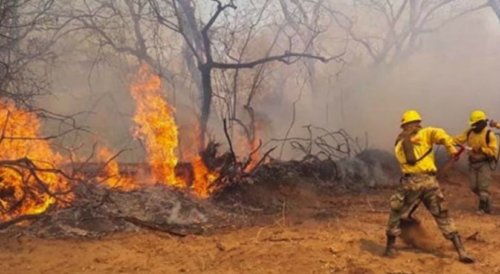 Incendios, El País