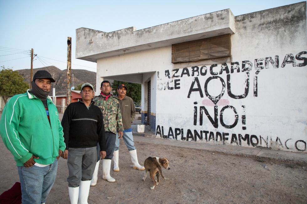 Territorios en Disputa, Yoremes, Amoníaco, El País